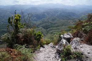 BIB: 
                            <button type="button" onclick="openModal(21897001)" class="btn btn-primary btn-sm float-right btn-popup" data-toggle="modal" data-target=".modal-high-quality">
                        <i class="fas fa-shopping-cart"></i> Add to Cart
                    </button>
                                            <button type="button" onclick="isThisMe(21897001, true)" class="btn btn-success btn-sm float-right btn-popup btn-isme hidden" data-toggle="tooltip" data-placement="bottom" title="นี่คือรูปของคุณใช่ไหม คลิกที่นี่เพื่อเอาเข้าอัลบั้ม">
                        <i class="fas fa-plus"></i> Add to album
                    </button>
                    <button type="button" onclick="isThisMe(21897001, false)" class="btn btn-warning btn-sm float-right btn-popup btn-isnotme hidden">
                        <i class="fas fa-ban"></i> Remove from album
                    </button>